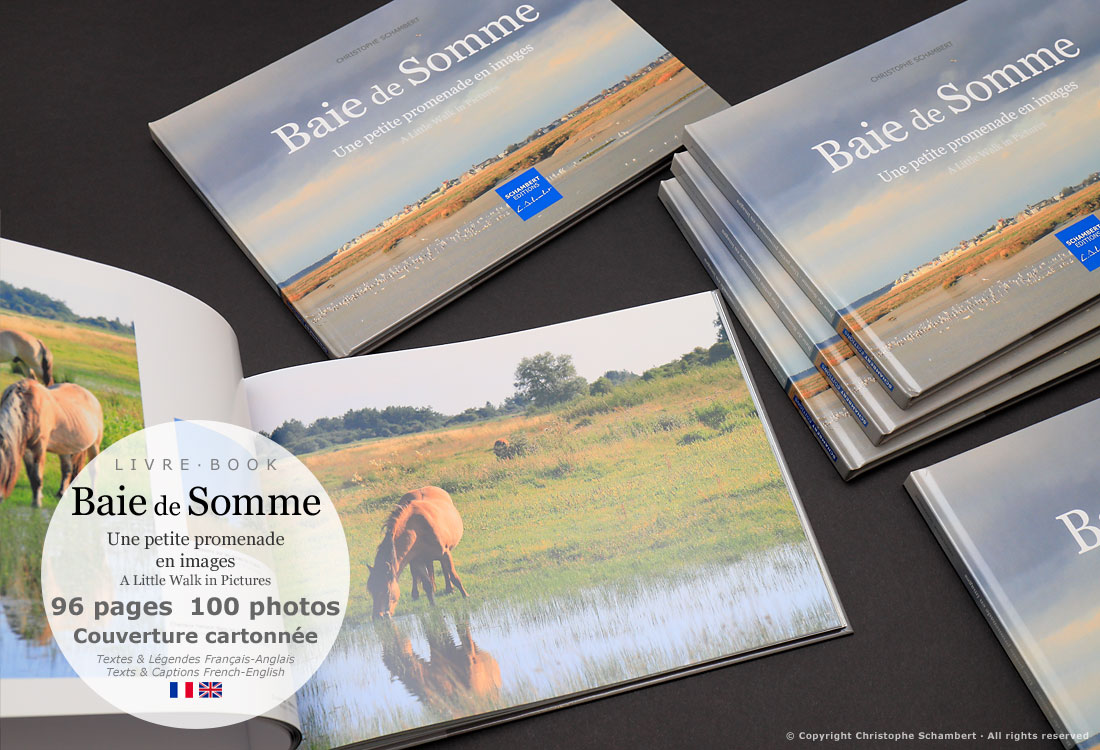 Livre Photo - Baie de Somme Une petite promenade en images - Couverture carton - Extrait chevaux Henson - Christophe Schambert - Schambert Editions