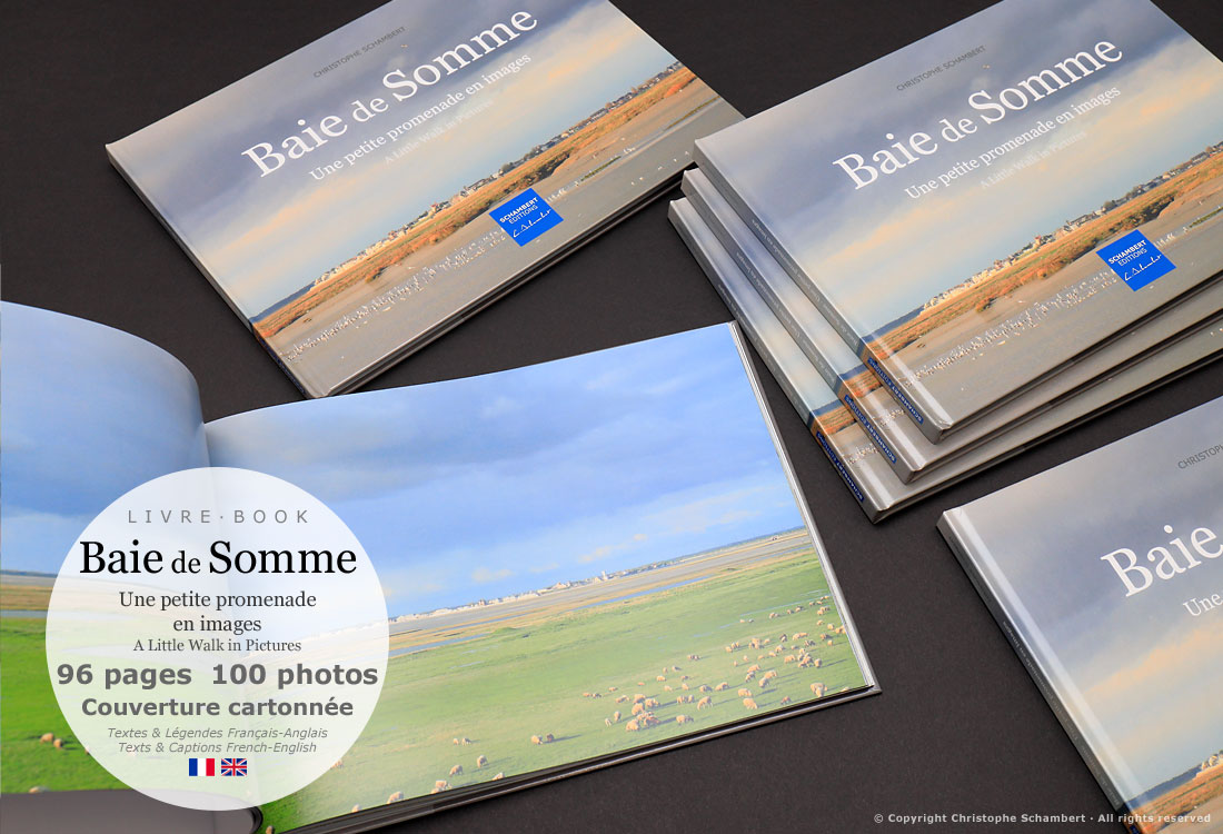 Livre Photo - Baie de Somme Une petite promenade en images - Couverture carton - Extrait moutons dans la baie de Somme - Christophe Schambert - Schambert Editions