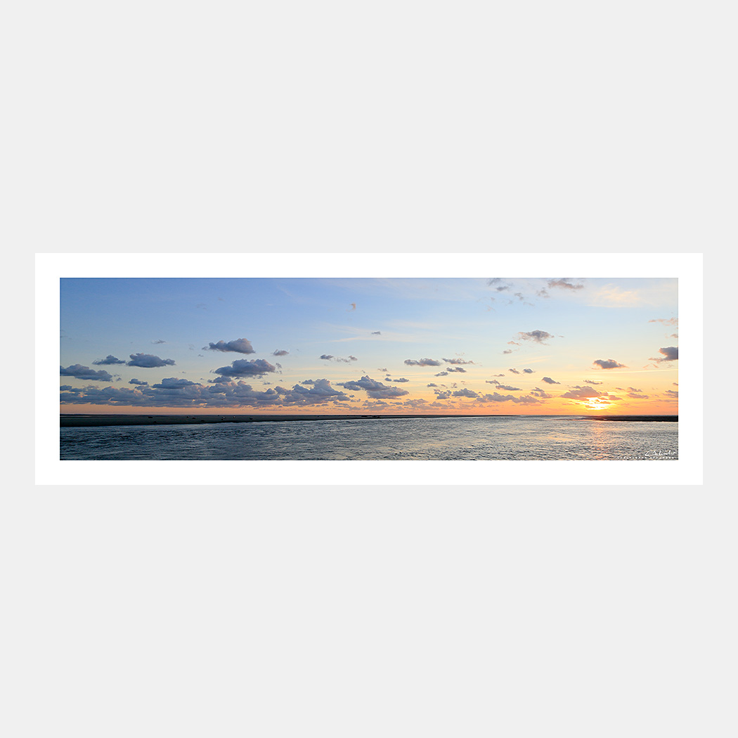 Poster Photo Baie d'Authie - Panoramique - Phoques sur les bancs de sable - Image de la Côte d'Opale - Hauts-de-France - Nord Pas-de-Calais - Christophe Schambert