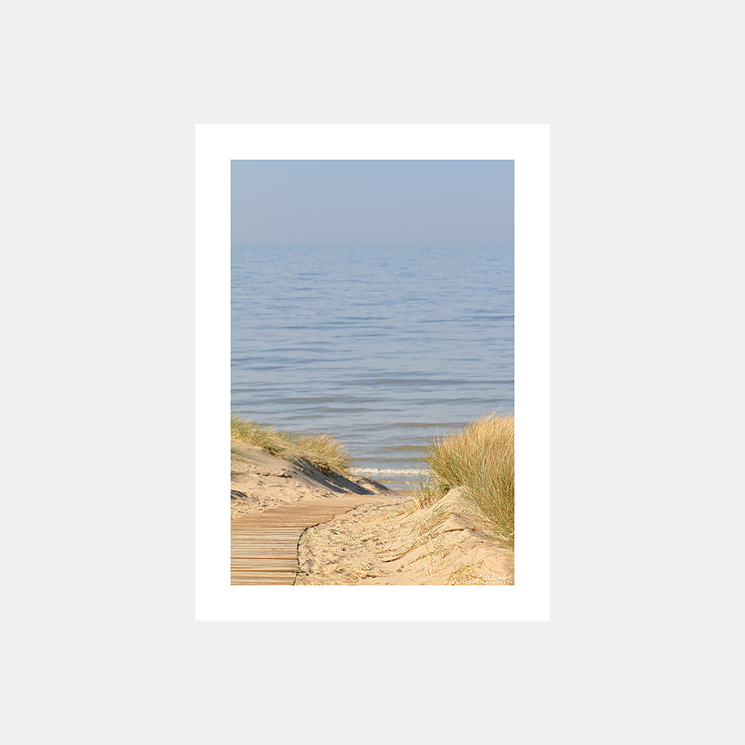 Poster Photo Côte Belge - Plage et mer, chemin dans les dunes - Image de mer et du littoral de Belgique - Christophe Schambert