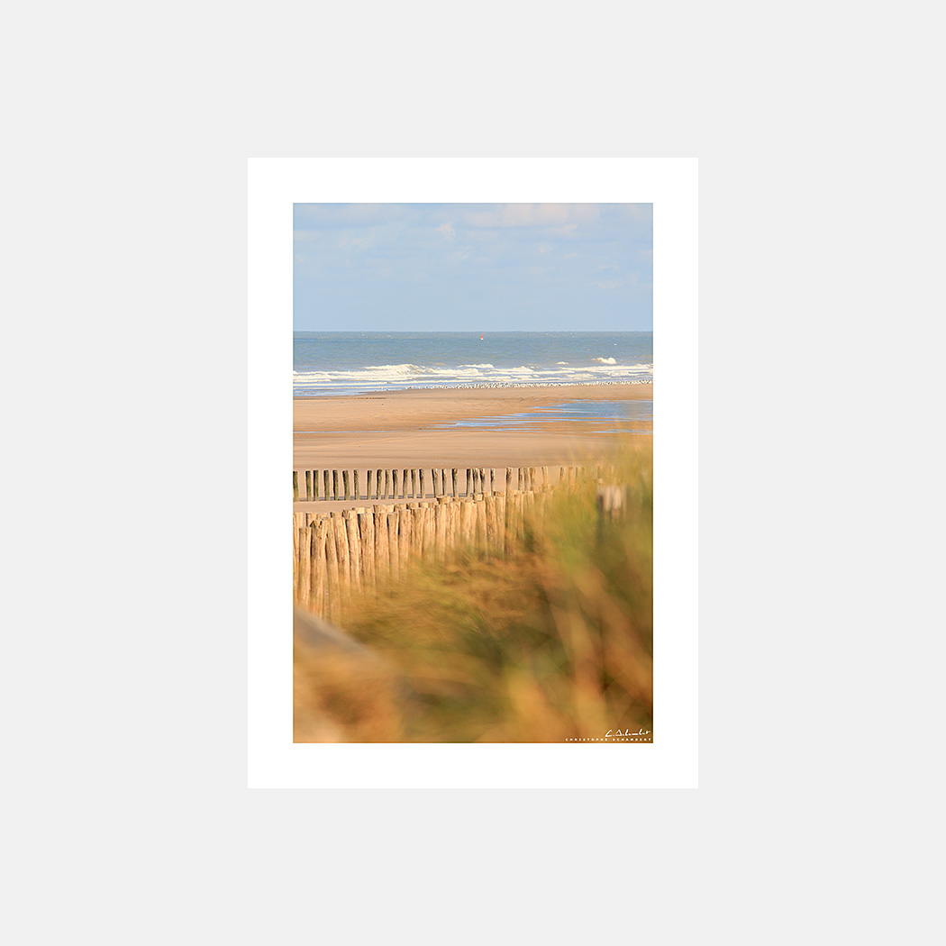 Poster Photo Côte d'Opale Calais - Dunes et plage - Image de mer et du littoral des Hauts-de-France - Christophe Schambert