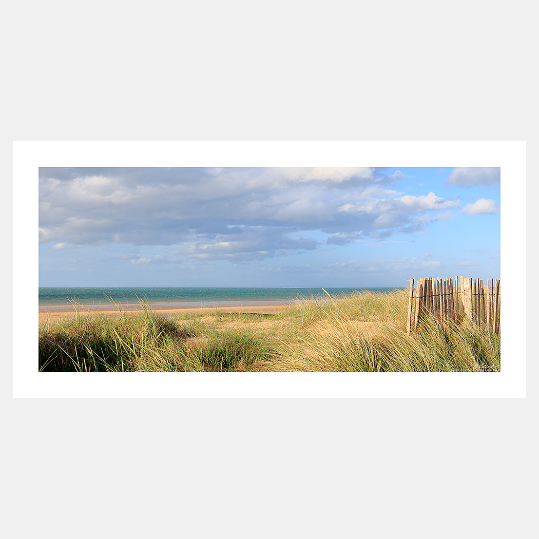 Poster Photo Côte de Nacre - Dunes et oyats avec ganivelles - Image de mer et du littoral de Normandie - Christophe Schambert