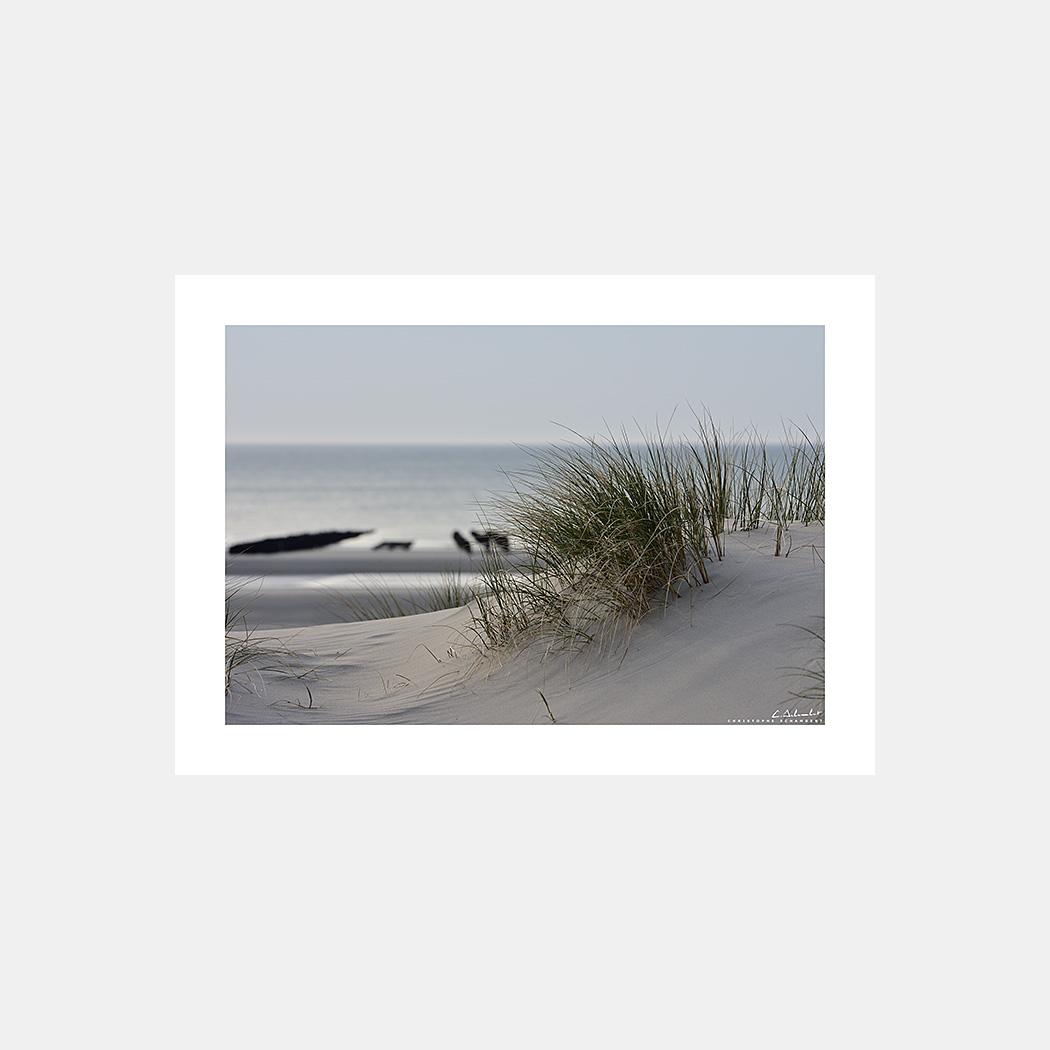 Poster Photo Dune de sable et oyats - Format Horizontal - Quend-Plage - Baie de Somme - Image de la Côte Picarde - Hauts-de-France - Christophe Schambert