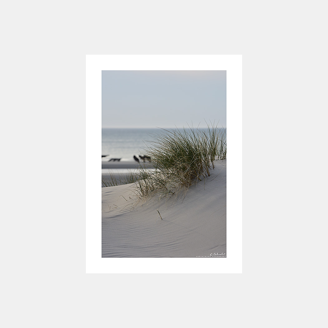 Poster Photo Dune de sable et oyats - Format Vertical - Quend-Plage - Baie de Somme - Image de la Côte Picarde - Hauts-de-France - Christophe Schambert