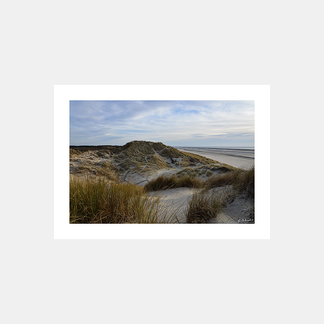 Poster Photo Grandes Dunes avec ganivelles et oyats  - Format Horizontal - Quend-Plage - Baie de Somme - Image de la Côte Picarde - Hauts-de-France - Christophe Schambert