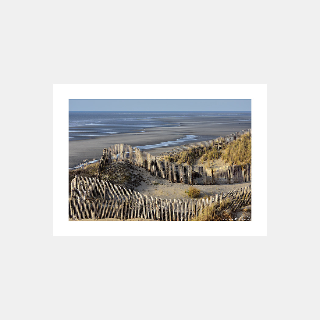 Poster Photo Dunes avec ganivelles au couchant - Format horizontal - Quend-Plage - Baie de Somme - Image de la Côte Picarde - Hauts-de-France - Christophe Schambert