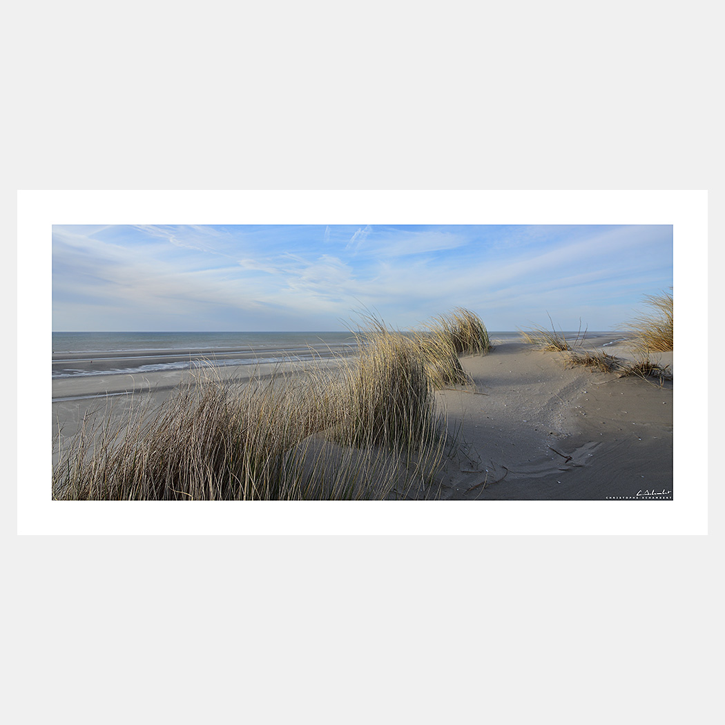 Poster Photo Dunes Oyats et mer par grand vent - Quend-Plage - Baie de Somme - Image de la Côte Picarde - Hauts-de-France - Christophe Schambert