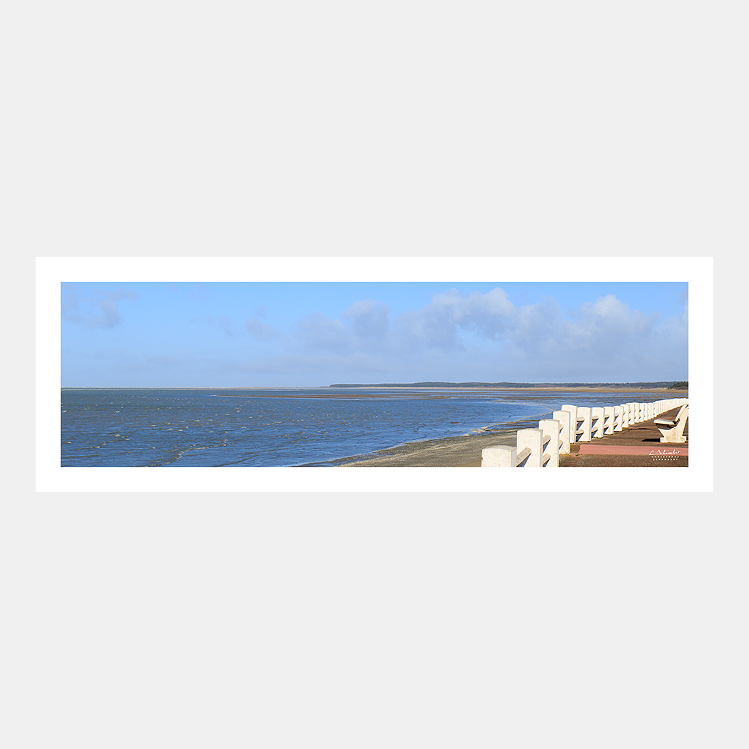 Poster photo panoramique Baie de Somme - Les dunes du Parc du Marquenterre depuis la promenade du Crotoy le matin à marée haute - Hauts-de-France - Image de la Côte Picarde - Christophe Schambert Photographe