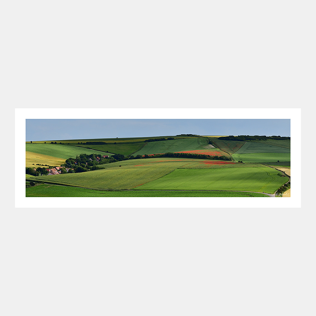 Poster Photo Site des deux Caps - Champs et collines en été - Panoramique - Image de la Côte d'Opale - Hauts-de-France Nord Pas-de-Calais - Christophe Schambert
