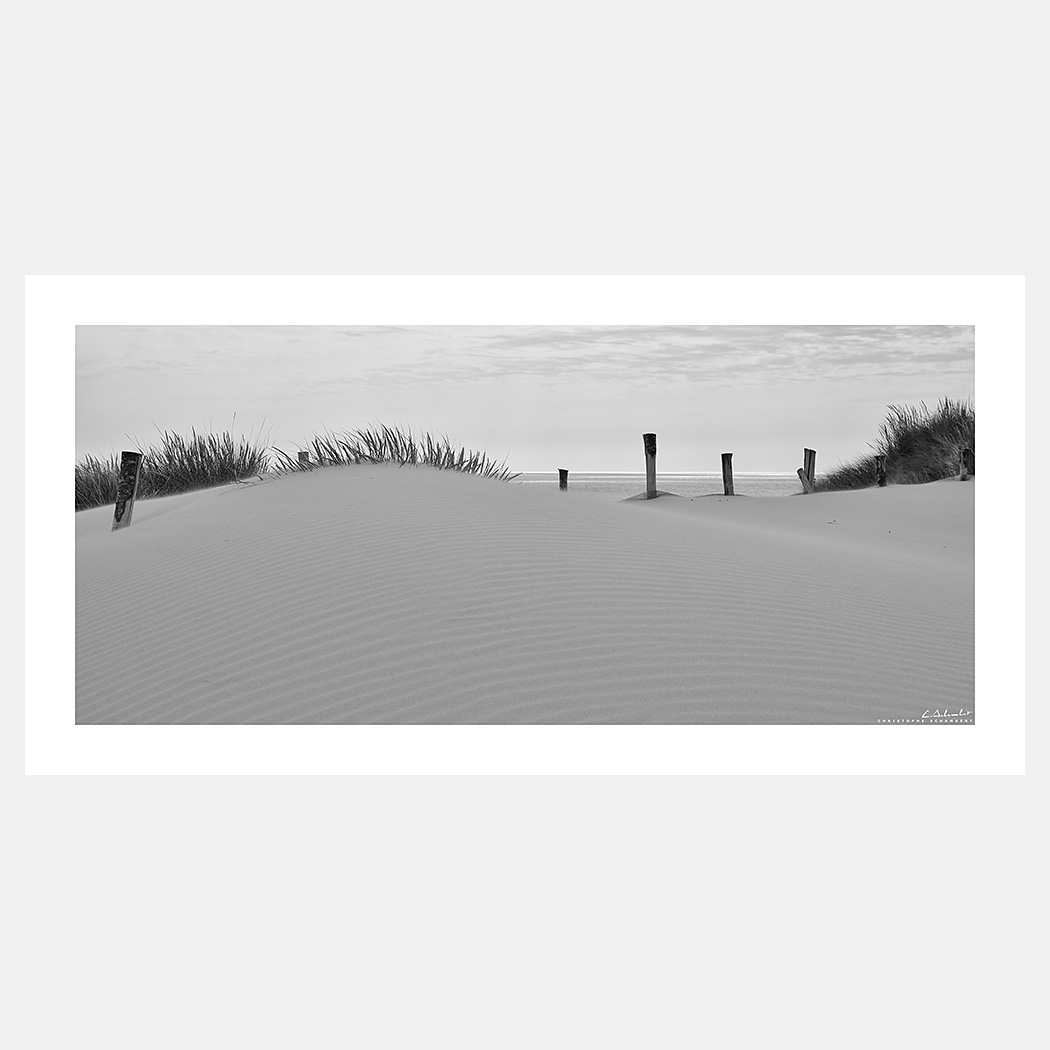 Poster Photo Cotentin - Dunes, Oyats, Plage - Noir et blanc - Image de mer et du littoral de Normandie - Christophe Schambert