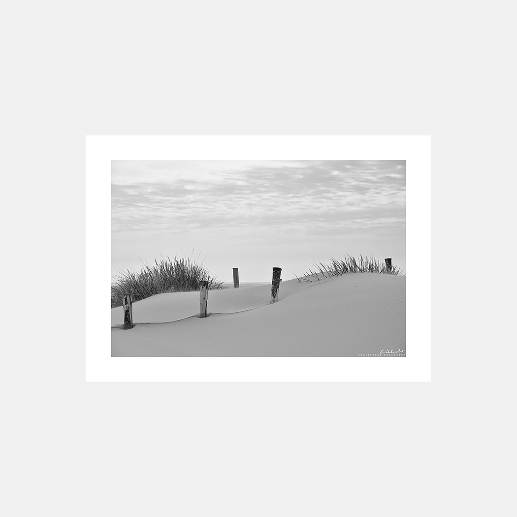 Poster Photo Dunes du Cotentin en noir et blanc - Dunes de sable, Oyats, Pieux, Plage - Image de mer et du littoral de Normandie - Christophe Schambert