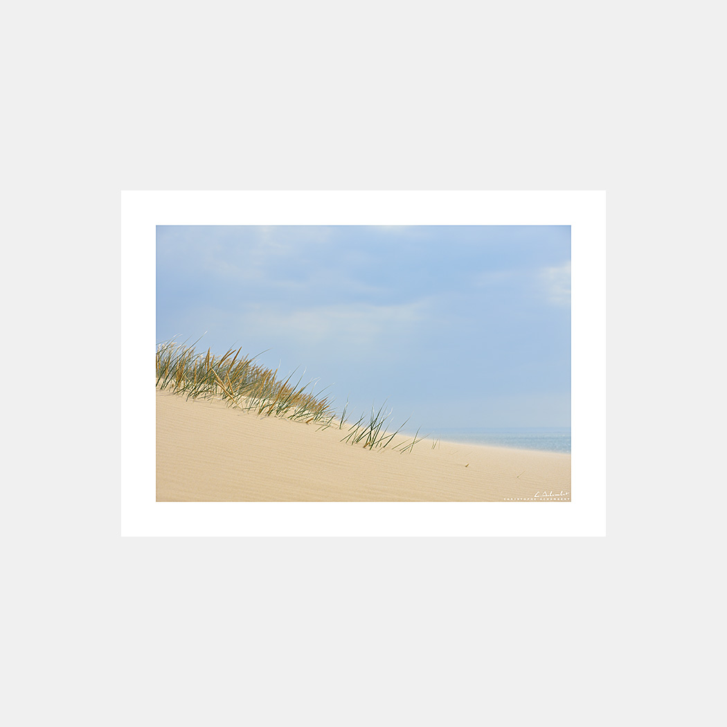 Poster Photo Cotentin - Dunes, Oyats, Plage - Image de mer et du littoral de Normandie - Christophe Schambert