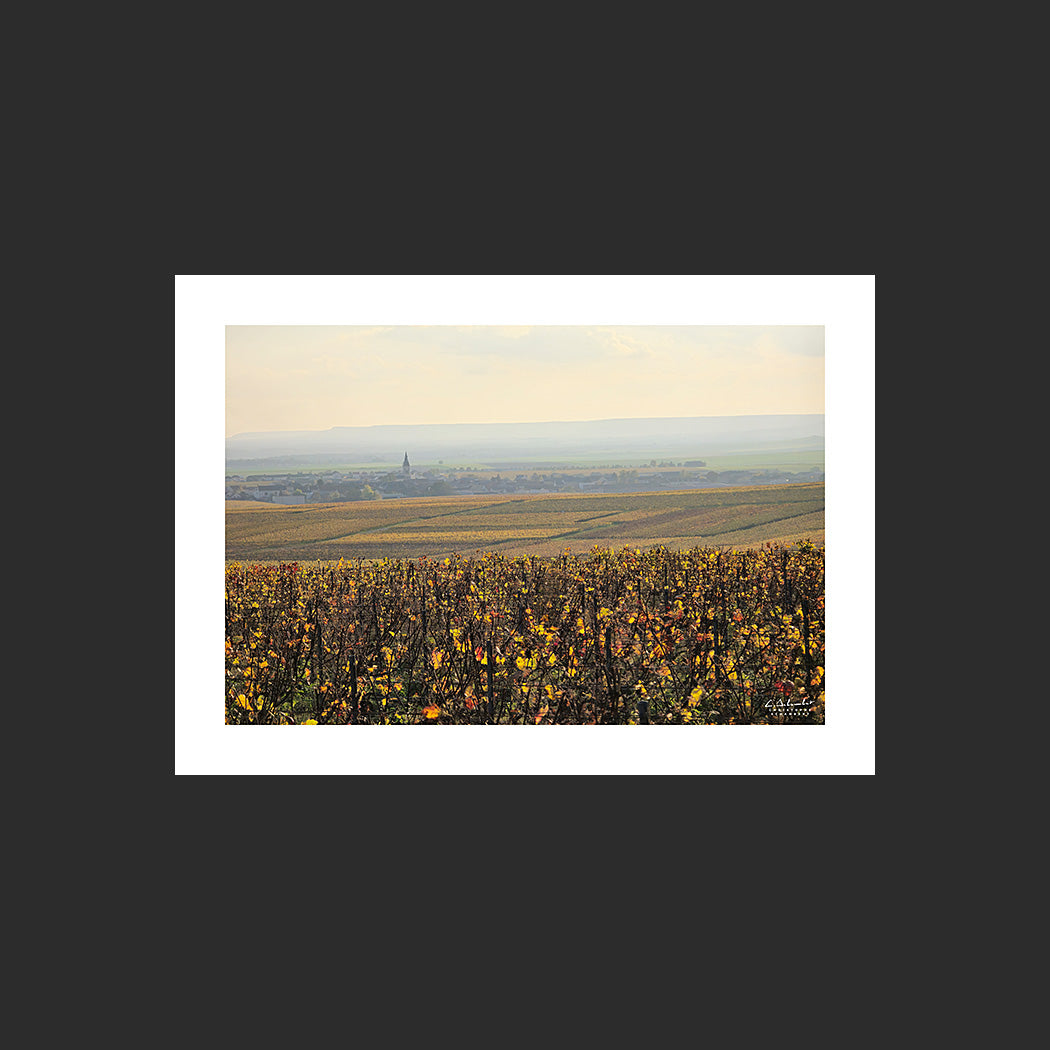 Photographie du village de Bouzy dans les vignes de Champagne depuis la montagne de Reims en automne dans la brume du soir, Champagne, Marne, Grand Est, France.