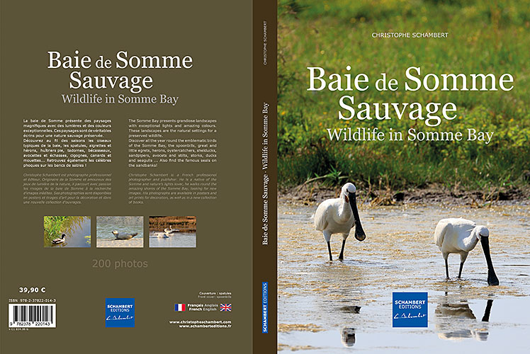 Couverture - Livre Photo Baie de Somme Sauvage - Wildlife in Somme Bay - Nouvelle édition 2022 cartonnée - Christophe Schambert - Schambert Editions