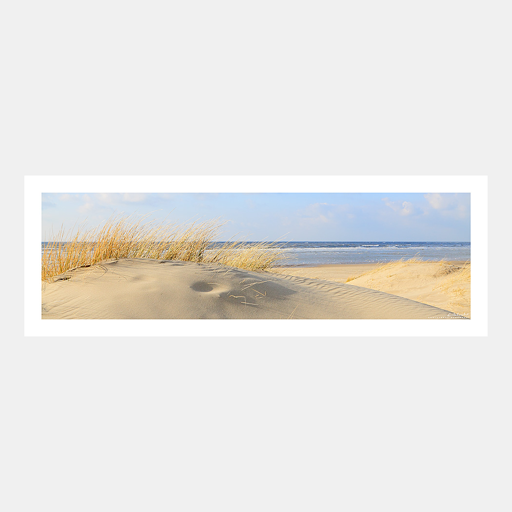 Poster Photo Côte d'Opale Le Touquet - Panoramique Dunes, Oyats, Mer, Plage - Image de mer et du littoral des Hauts-de-France - Christophe Schambert