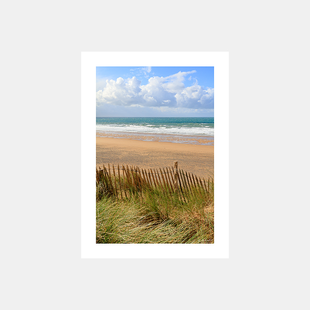 Poster Photo Cotentin - Dunes, Oyats, Ganivelles, Plage - Image de mer et du littoral de Normandie - Christophe Schambert