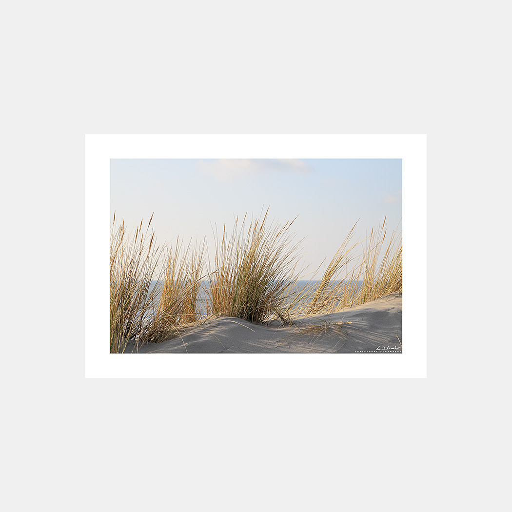 Poster Photo Côte d'Opale - Dunes de sable et Oyats - Image de mer et du littoral des Hauts-de-France - Christophe Schambert
